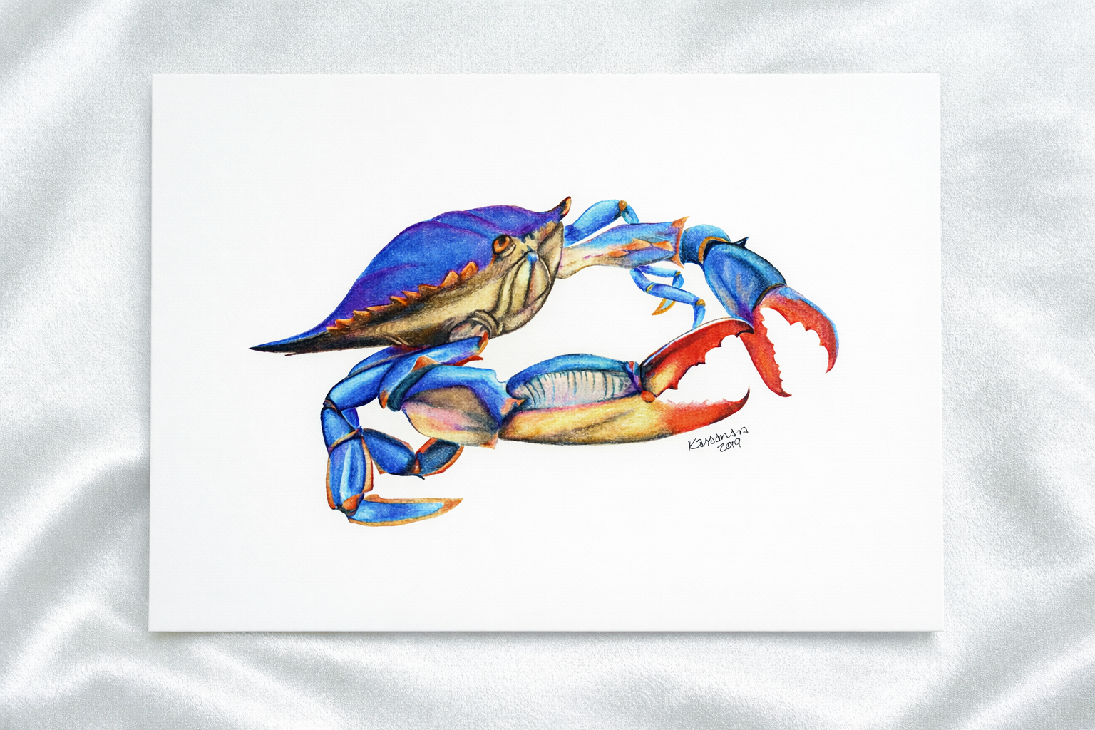 Blue Crab print presentation
