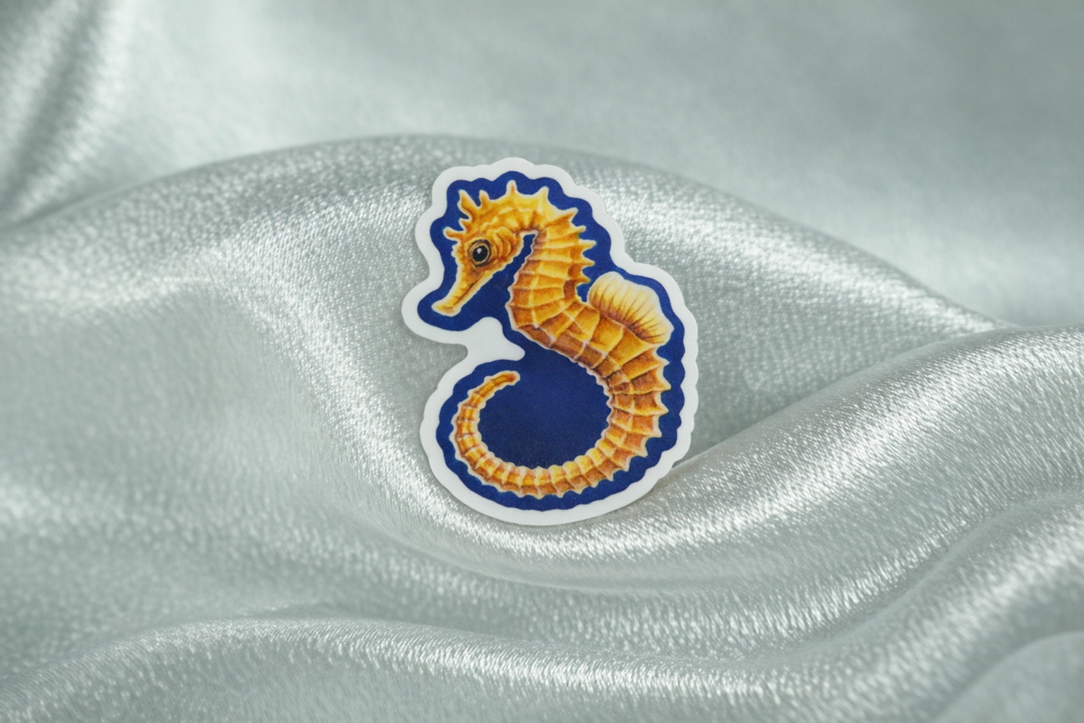 Blue Pacific Seahorse sticker presentation