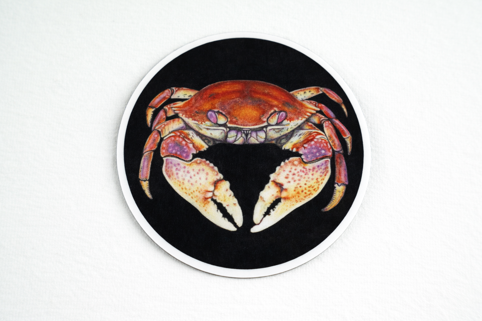 Dungeness Crab magnet presentation