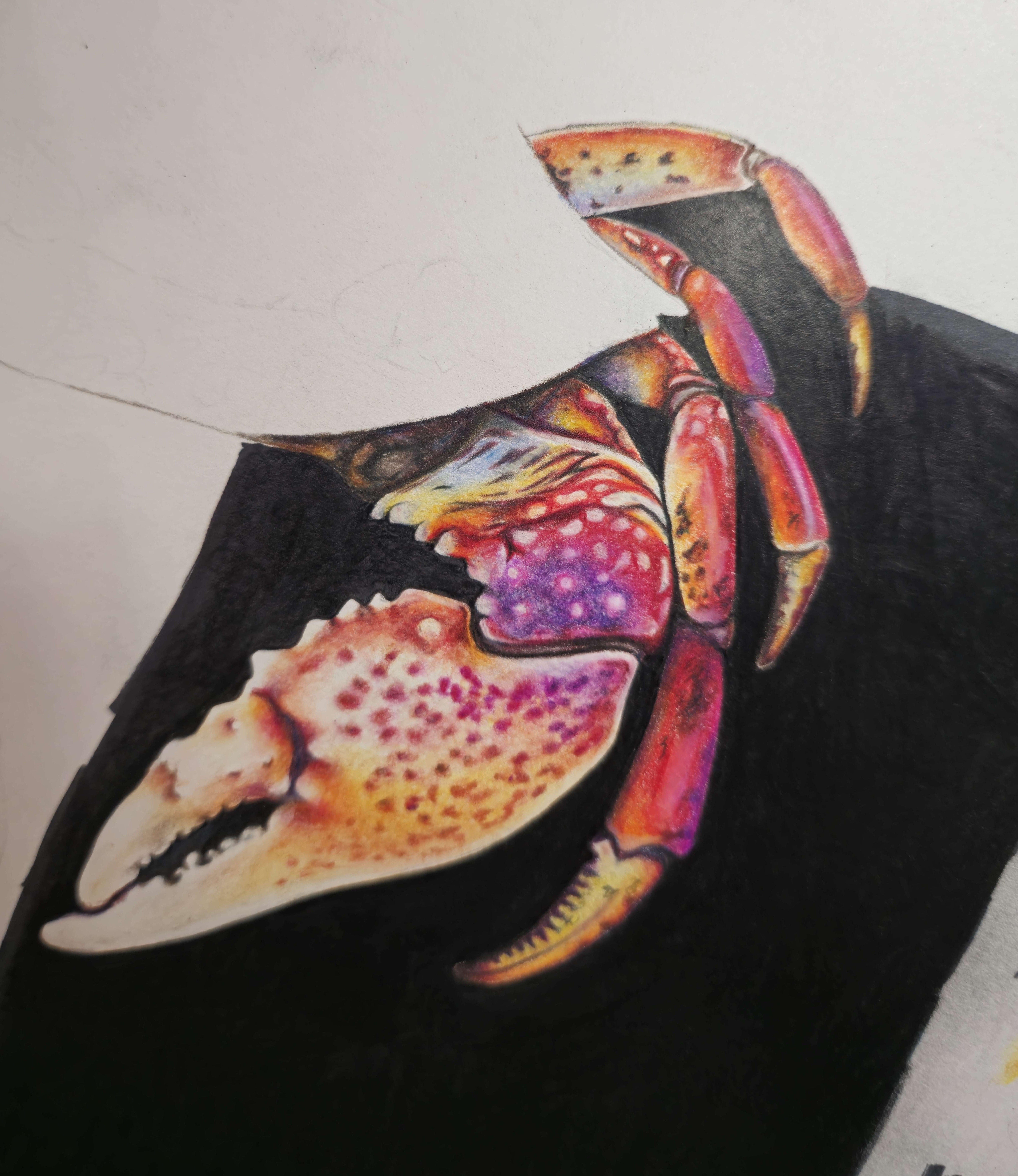Progress image one