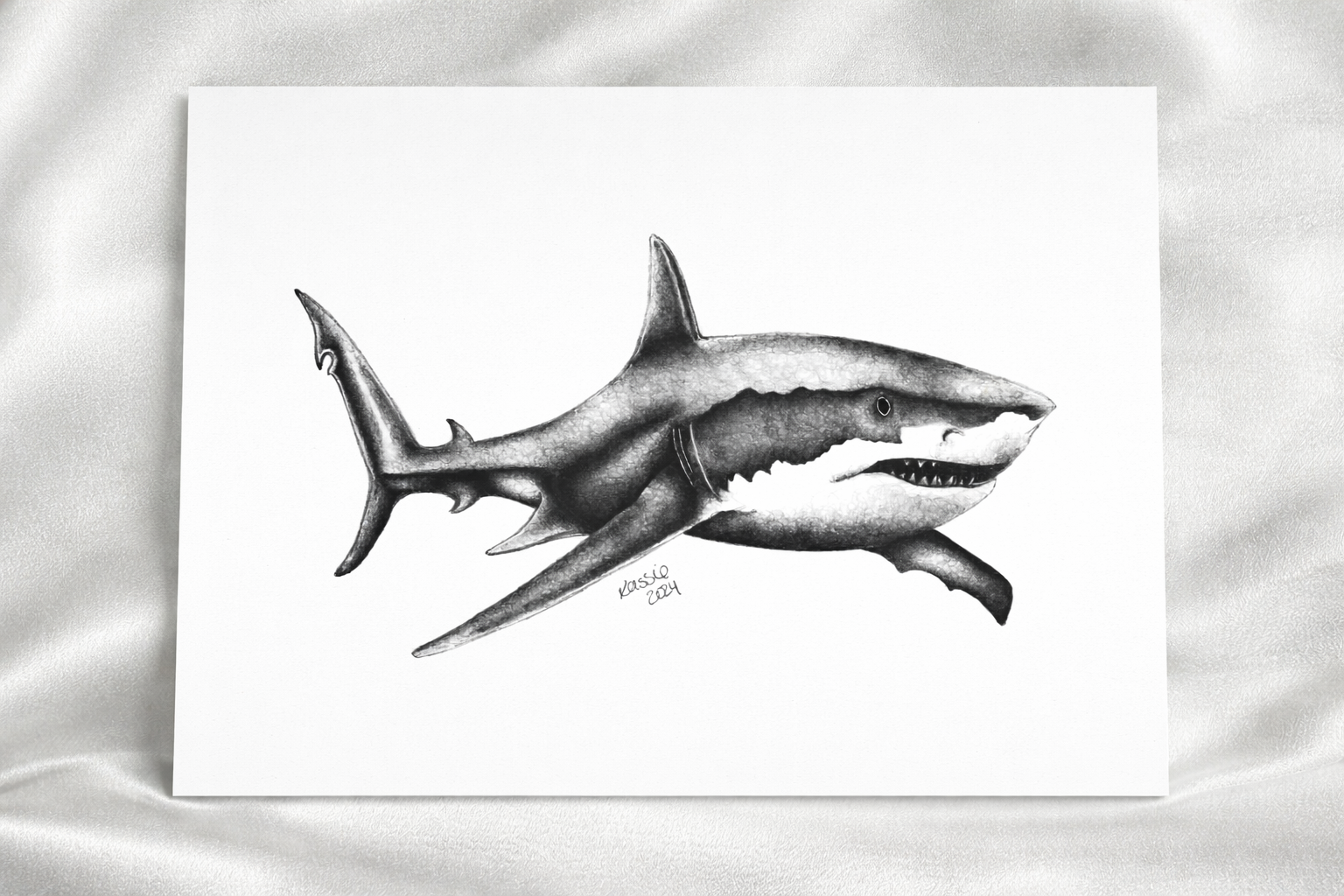 Great White Shark print presentation