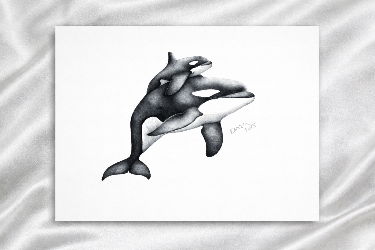 Orca print presentation