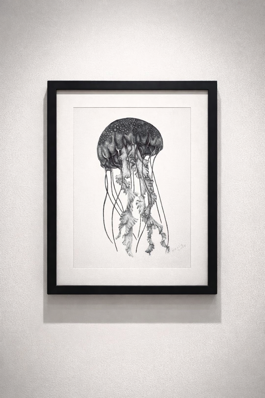 Pacific Jellyfish artwork by Kassandra Hogan