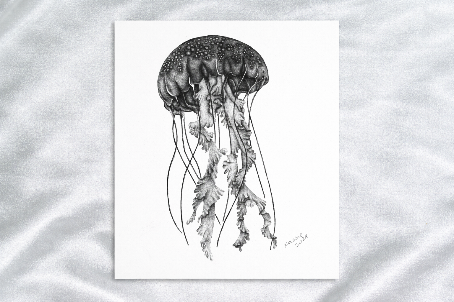 Pacific Jellyfish print presentation