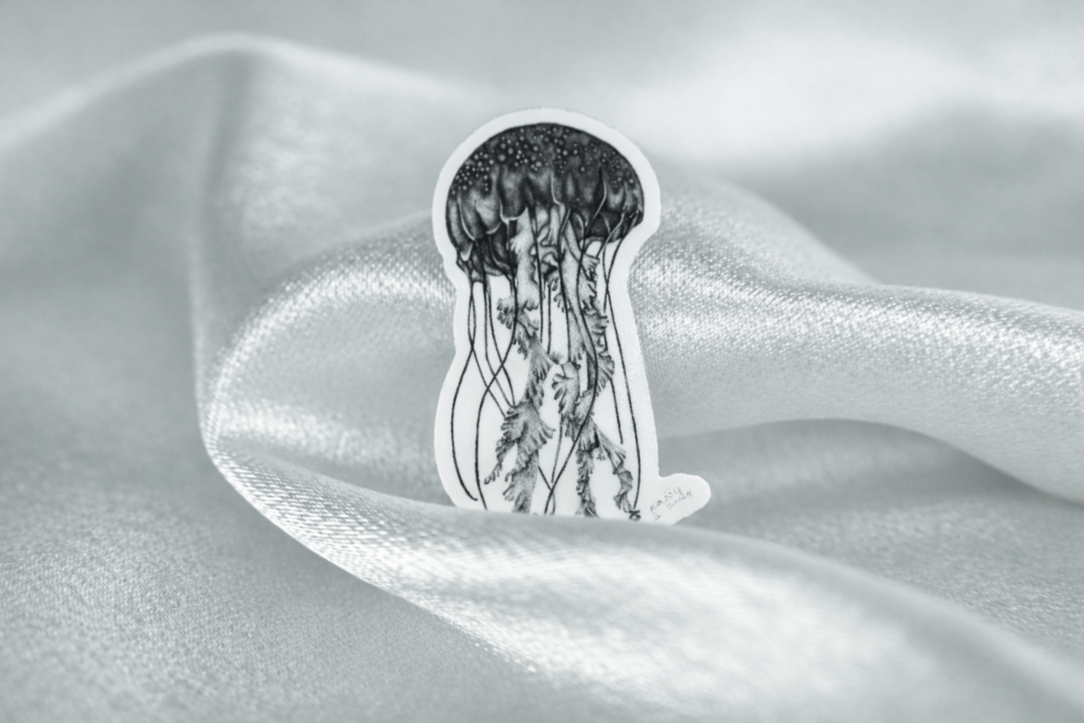 Pacific Jellyfish sticker presentation