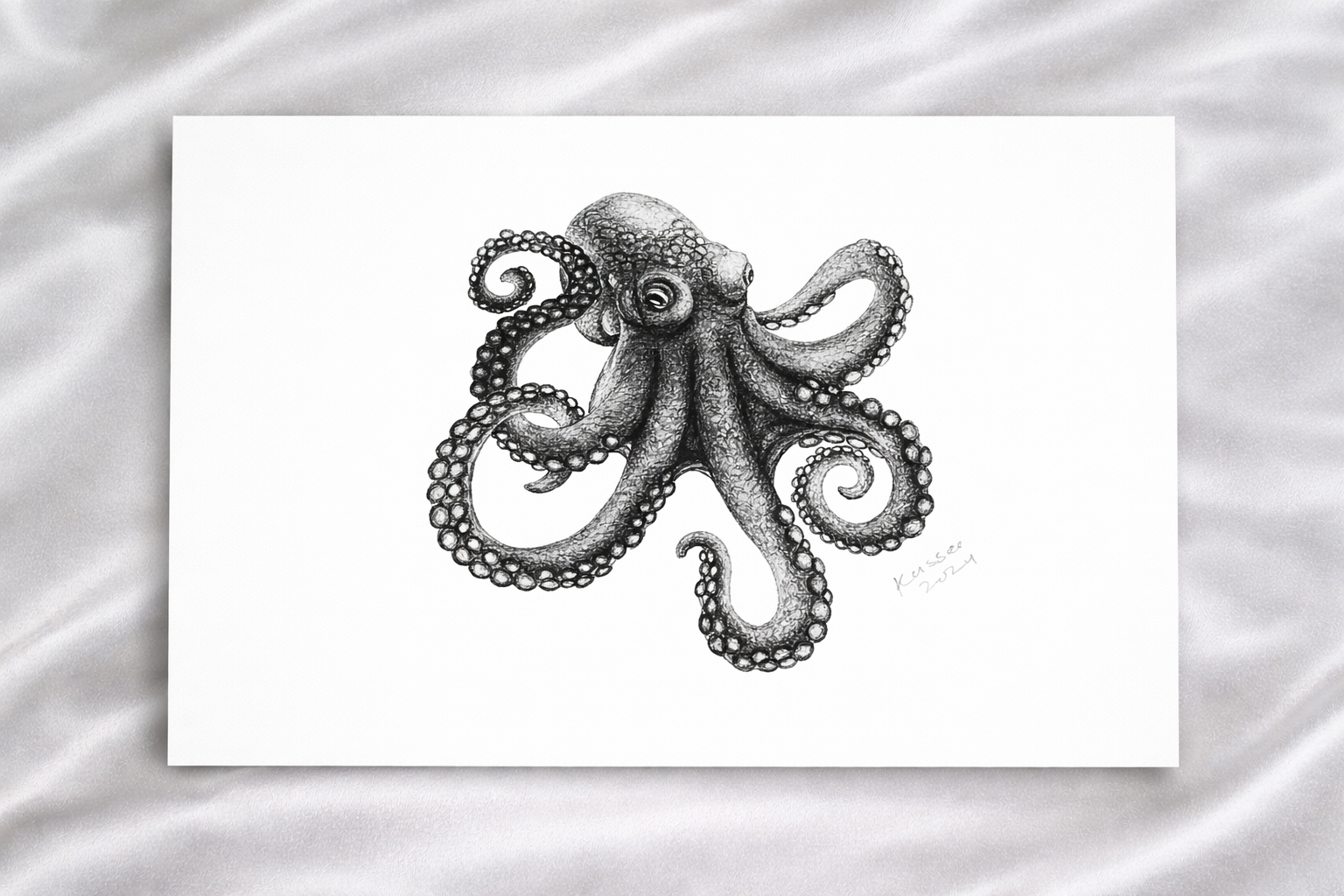 Pacific Octopus print presentation