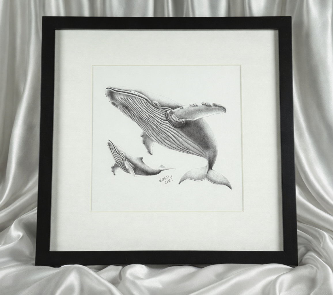 Pacific Whale Family artwork by Kassandra Hogan