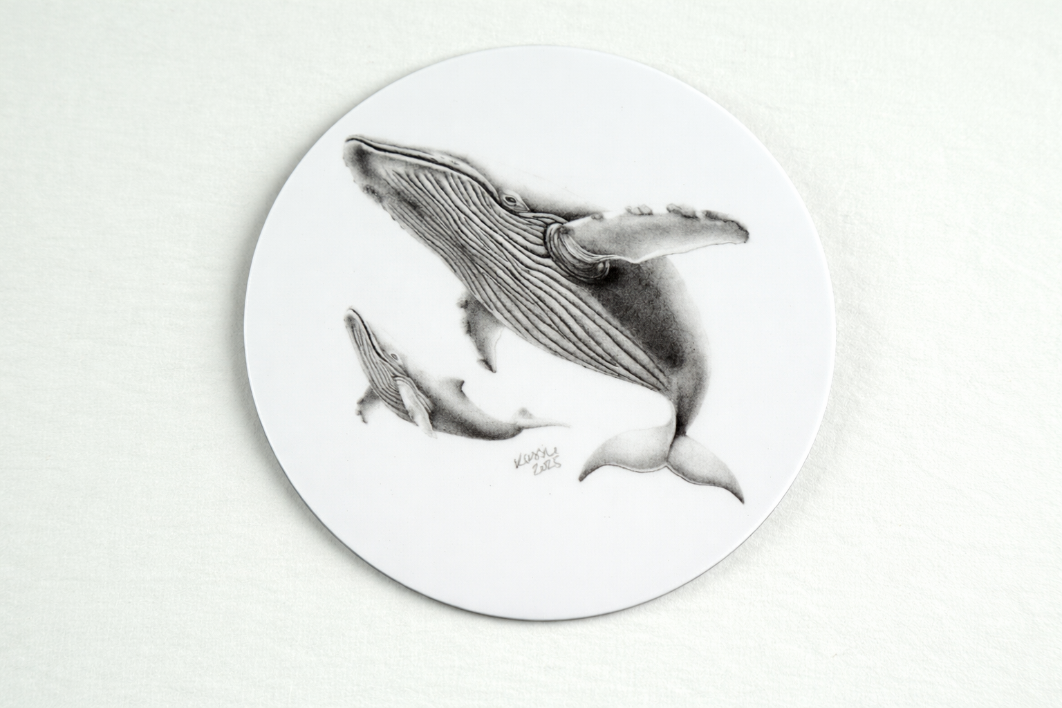 Pacific Whale Family magnet presentation