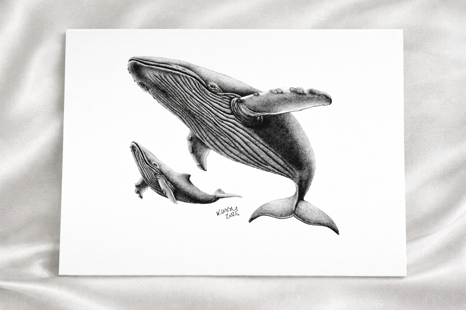 Pacific Whale Family print presentation