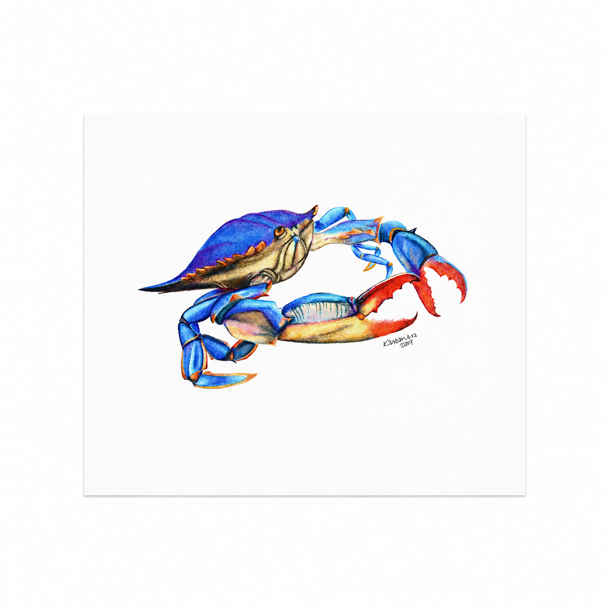 Blue Crab artwork thumbnail