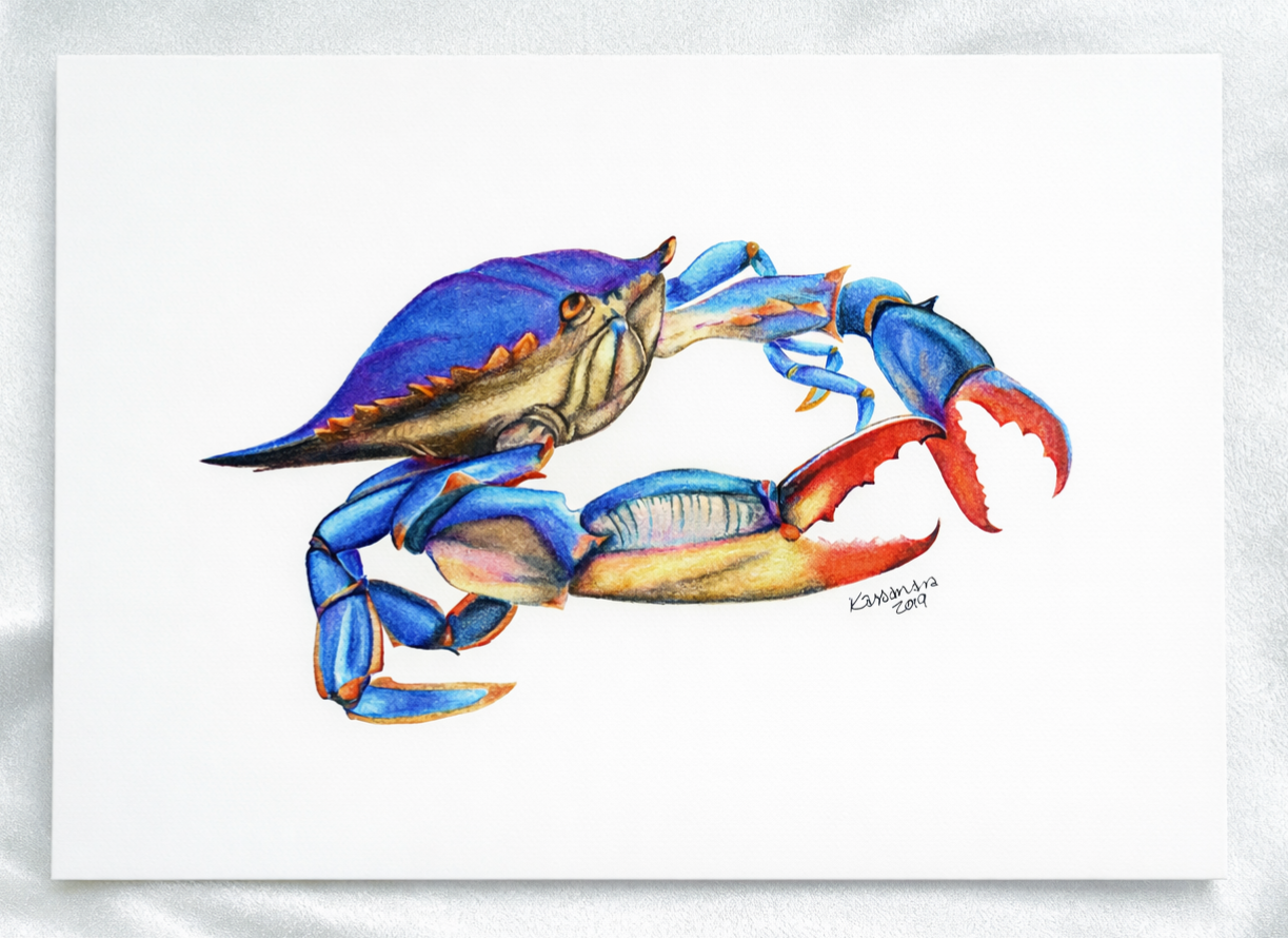 Blue Crab Artwork