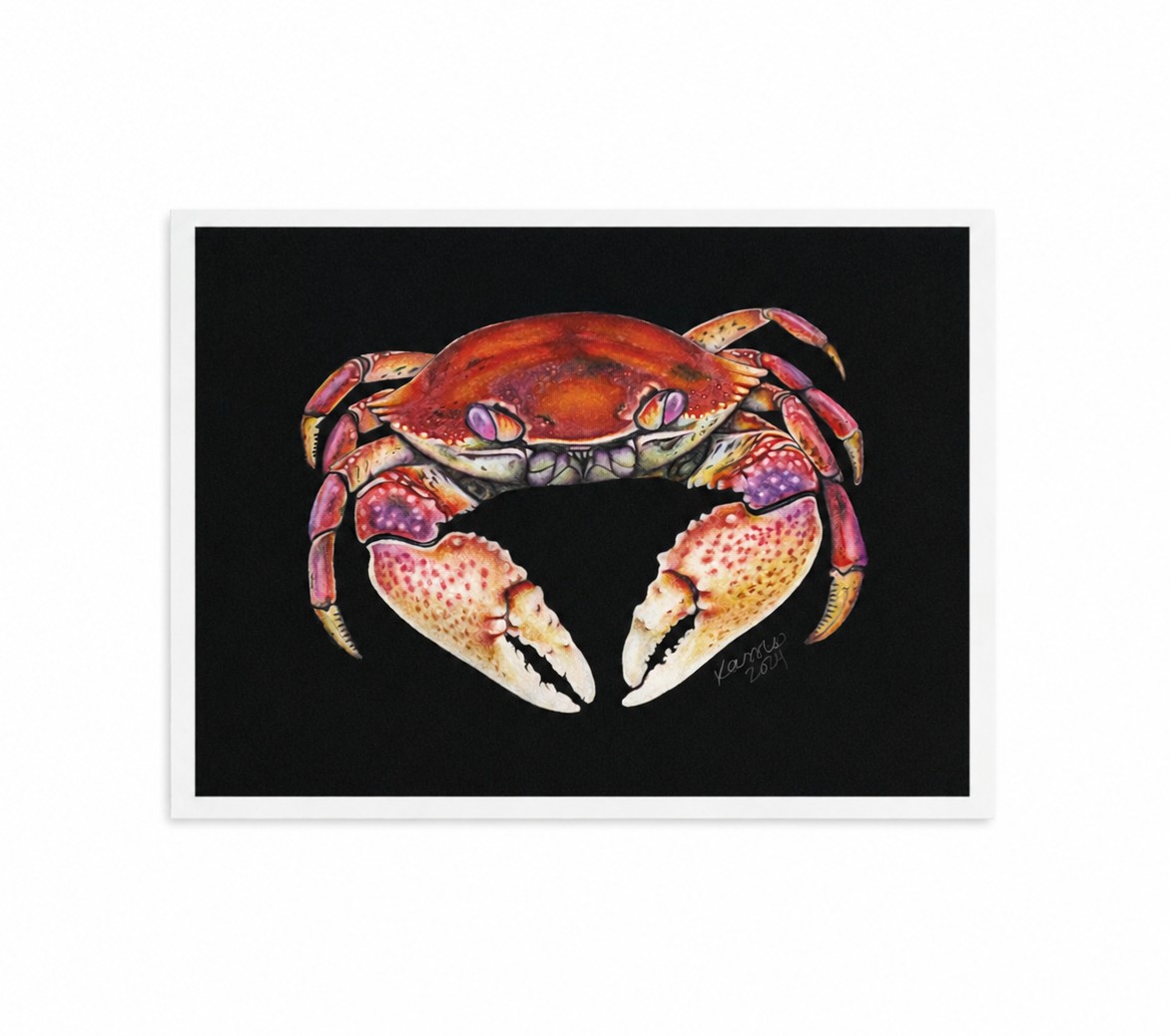 Dungeness Crab artwork thumbnail