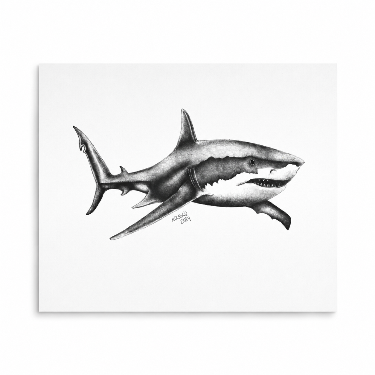 Great White Shark artwork thumbnail