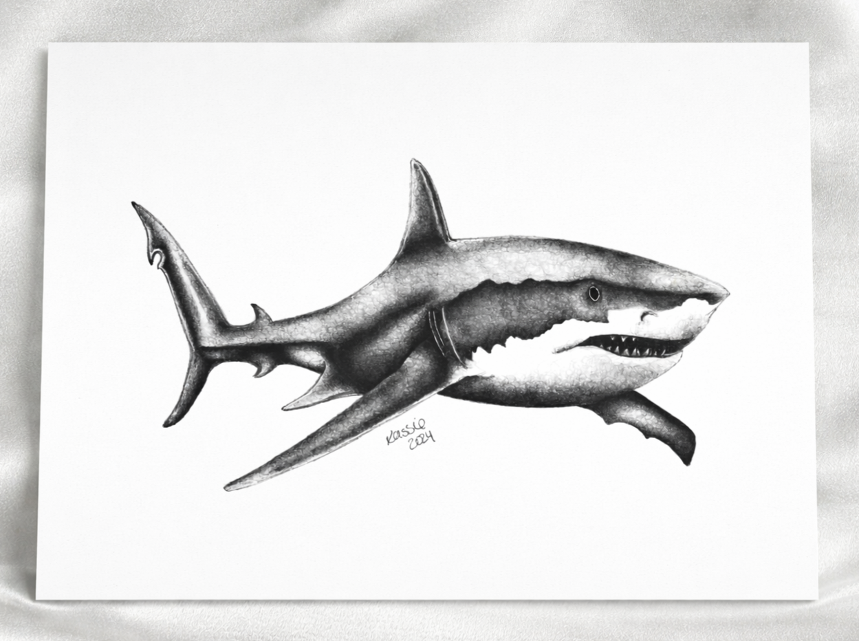 Great White Shark artwork thumbnail