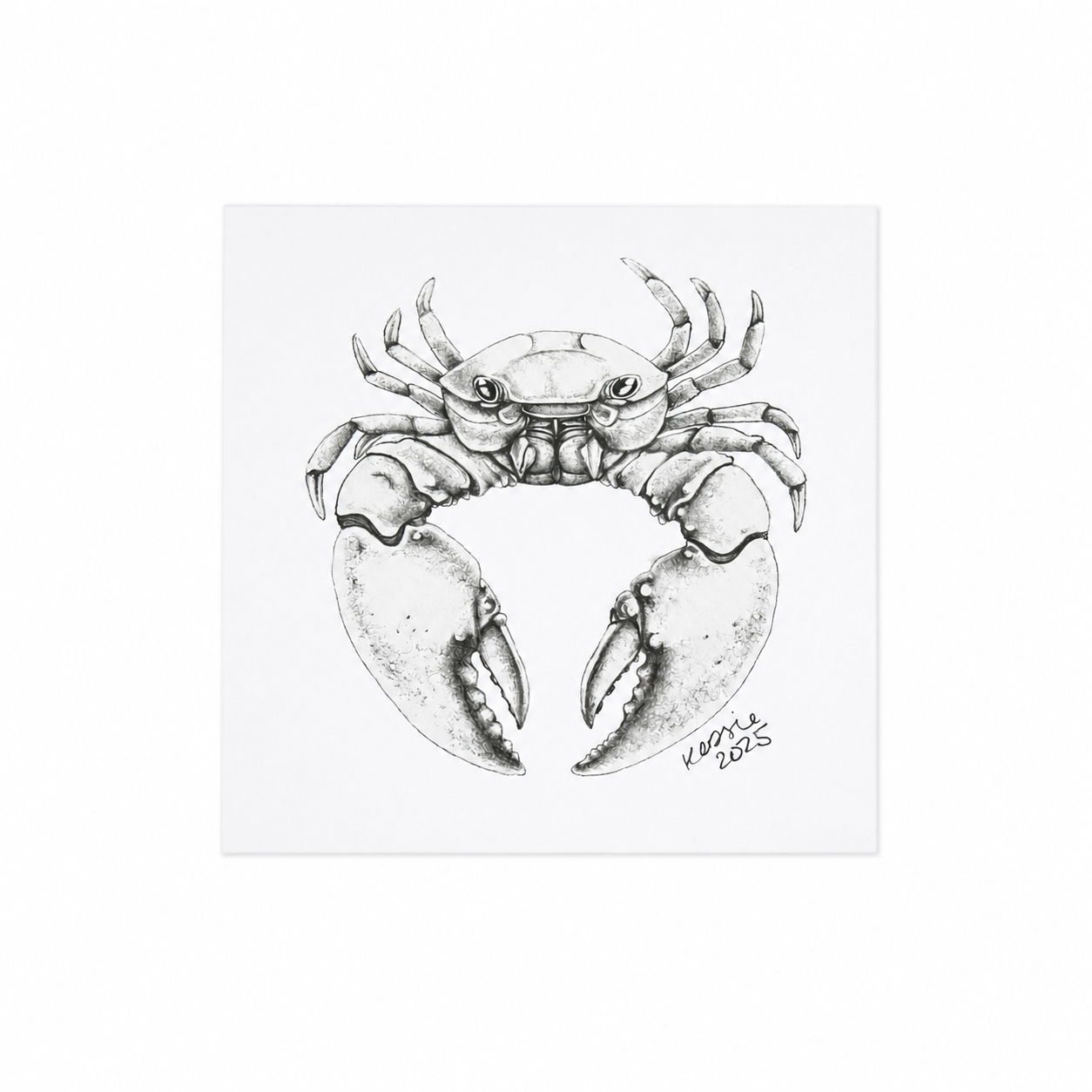 Tidepool Crab artwork thumbnail