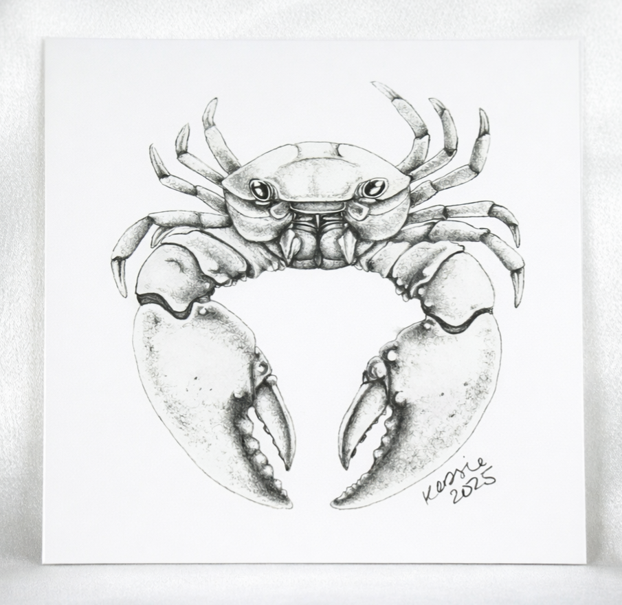 Little Crab artwork thumbnail