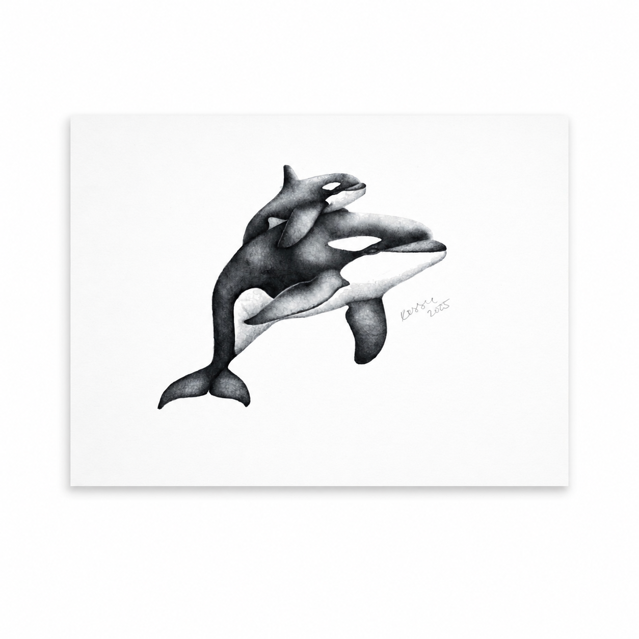 Tahlequah (J35) artwork thumbnail