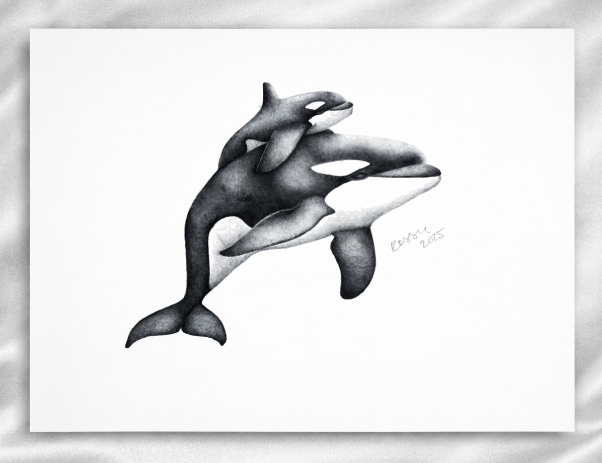 Orca Pod J35 Artwork