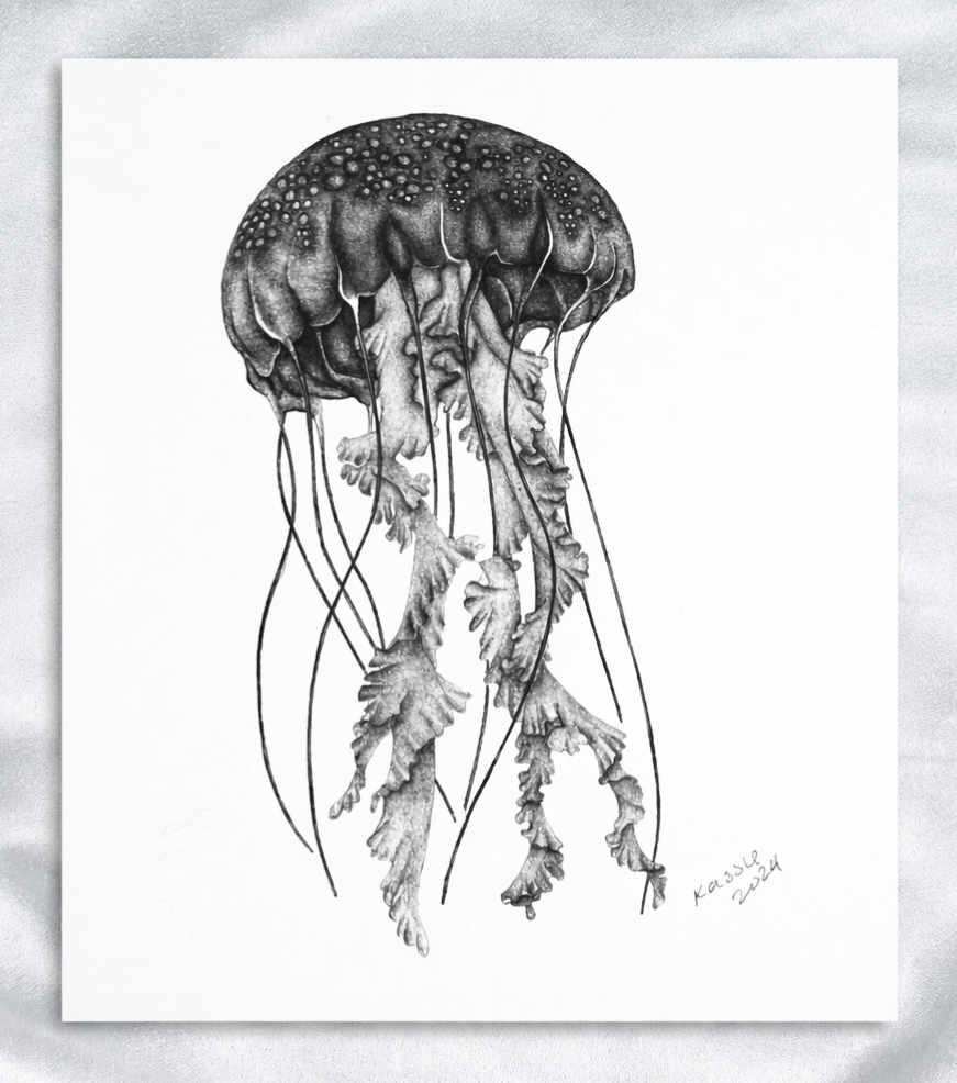 Pacific Jellyfish artwork thumbnail