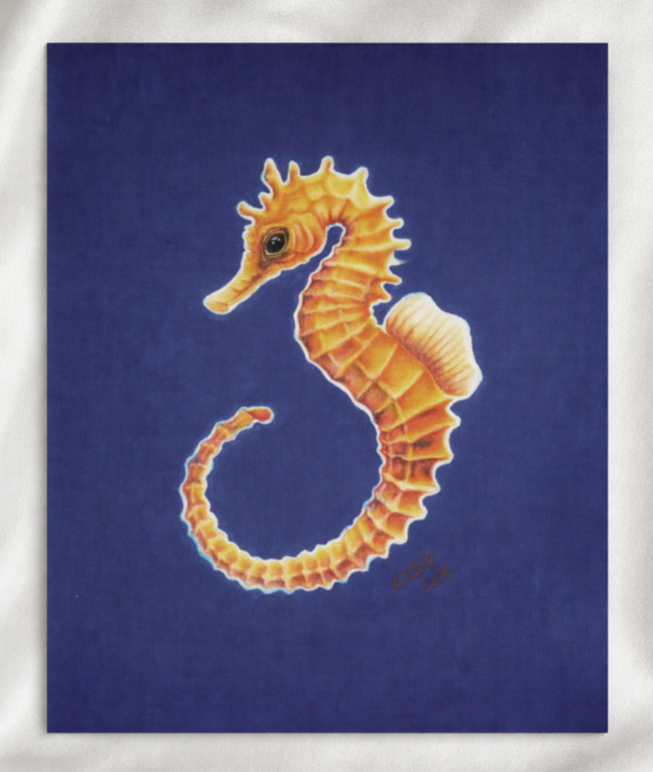 Pacific Seahorse artwork thumbnail