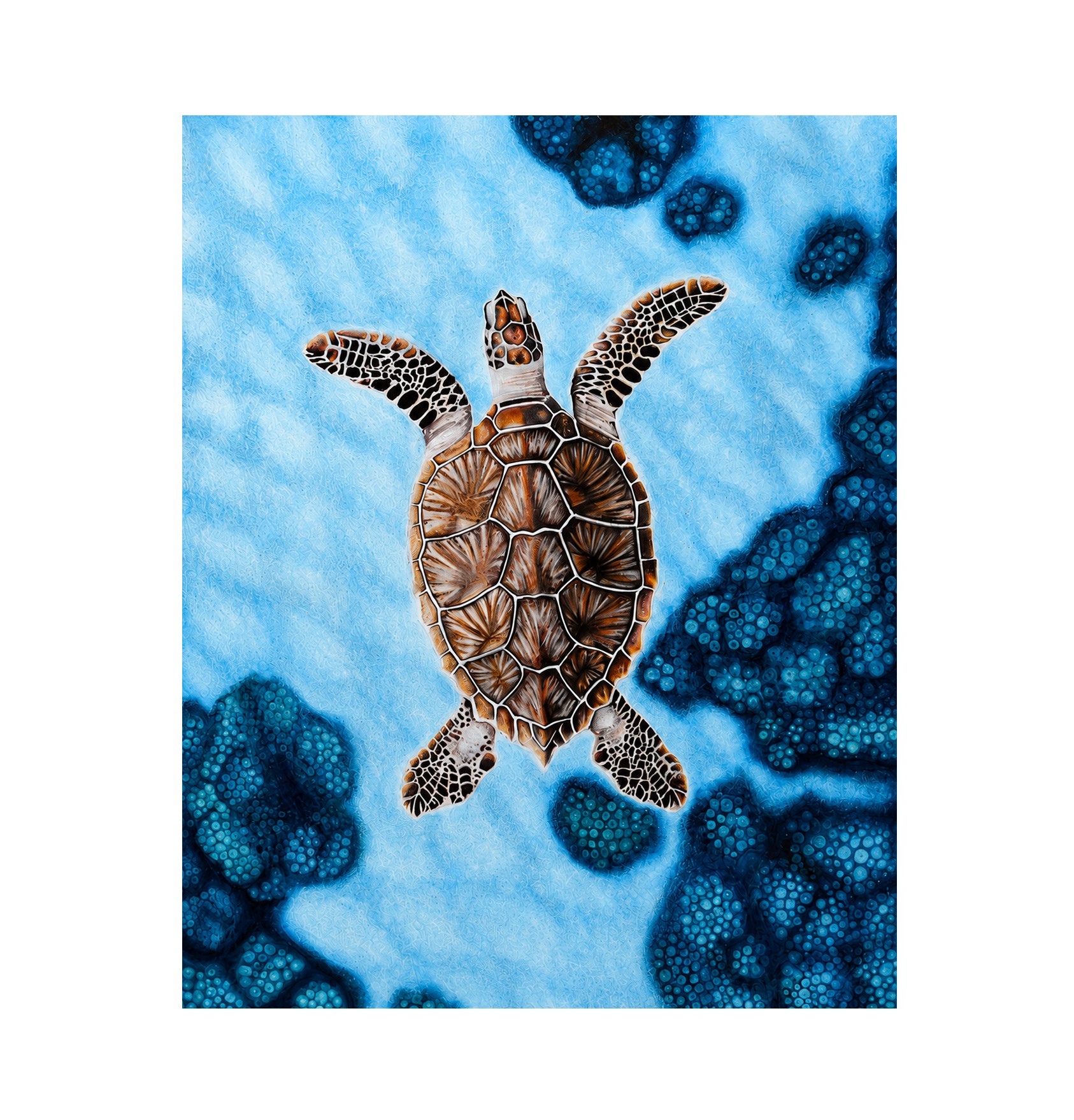 Sea Turtles and Barnacles artwork thumbnail