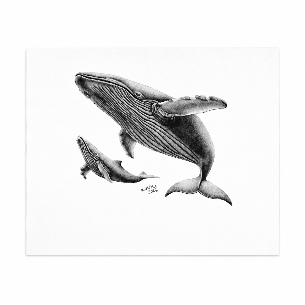 Pacific Whale Family artwork thumbnail