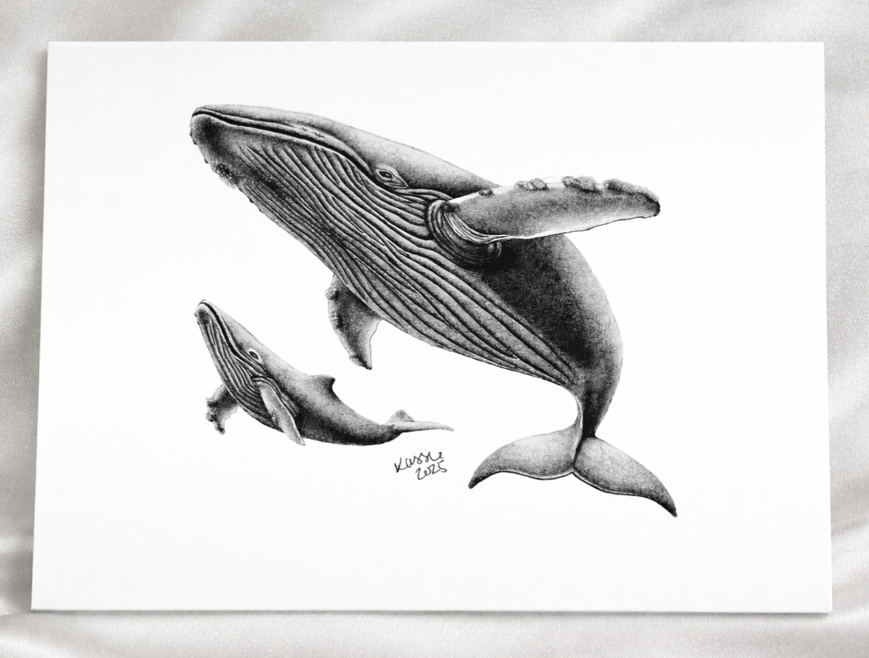 Pacific Whale Family artwork thumbnail